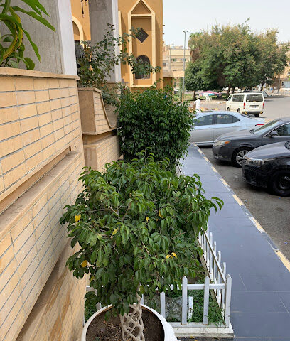 فندق الأمل - Taif - +966 12 734 0722