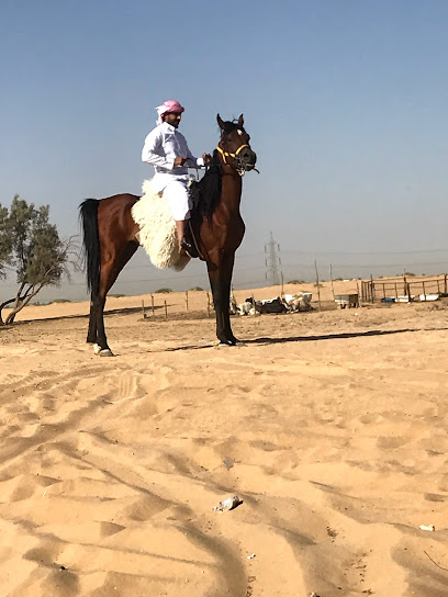 شاليه ومربط العليَاء - Saudi Arabia|Buraydah 52233|Al Hadyiah