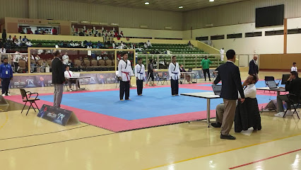Taekwondo Al Fateh - Al Mubarraz - +966 50 904 4427