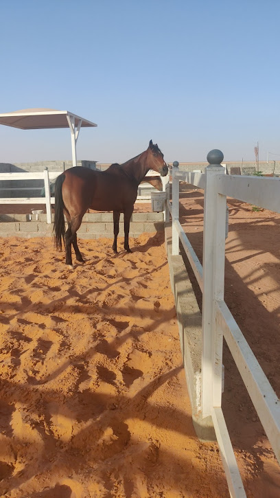 اسطبل الفهيد بالزلفي - Saudi Arabia|Az Zulfi 15982،|Unnamed Road
