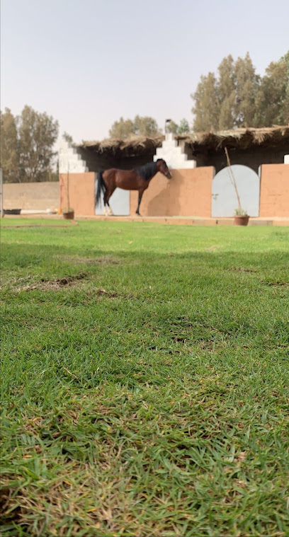 مربط مسك الجياد - Saudi Arabia|Buraydah 52229|الجراد