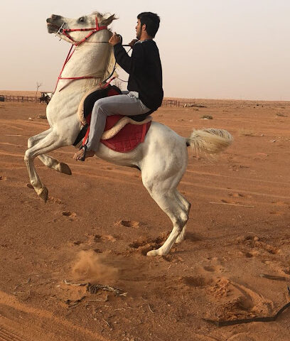 مربط زوبع للخيول العربيه - Al Mushaytiyah - +966 50 105 7008