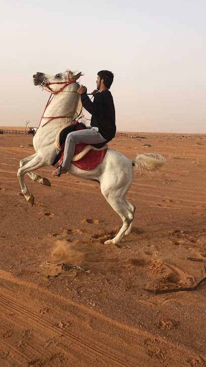 مربط زوبع للخيول العربيه - Saudi Arabia|Al Mushaytiyah 55665|QFCH+83J