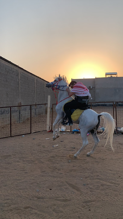 Feloah horse care riders stables - Jeddah 23345