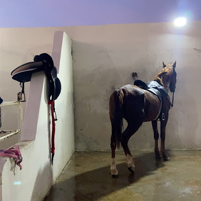 مربط وقت الاصايل للخيل العربية الأصيلة - Al-Kharj - +966 50 166 0136