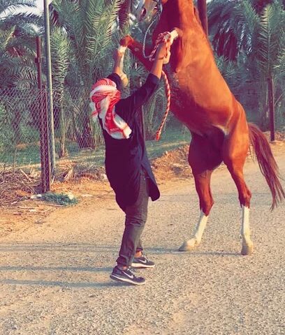 مربط الصواعق - Al-Kharj - +966 55 626 1299