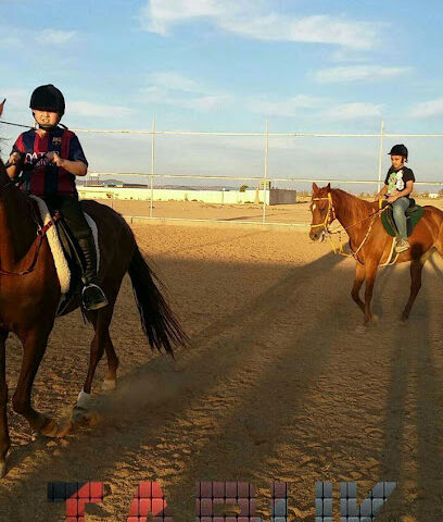 Alasefa riding horse School - Tabuk - +966 56 591 4460
