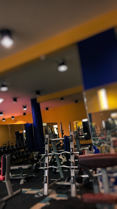 نادي الفيحاء. MAX GYM - Saudi Arabia|Jeddah 22244|Al Fayha'a|F6W7+QXM