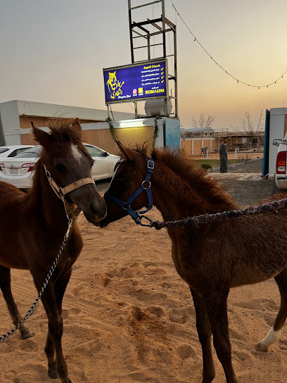 مربط الشقاوي للخيول العربيه - Saudi Arabia|Buraydah 52561،|8260، 3586، حي الشفق،