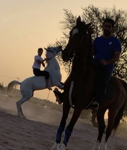 مربط الاديرع للخيول - Hail - +966 53 623 0321