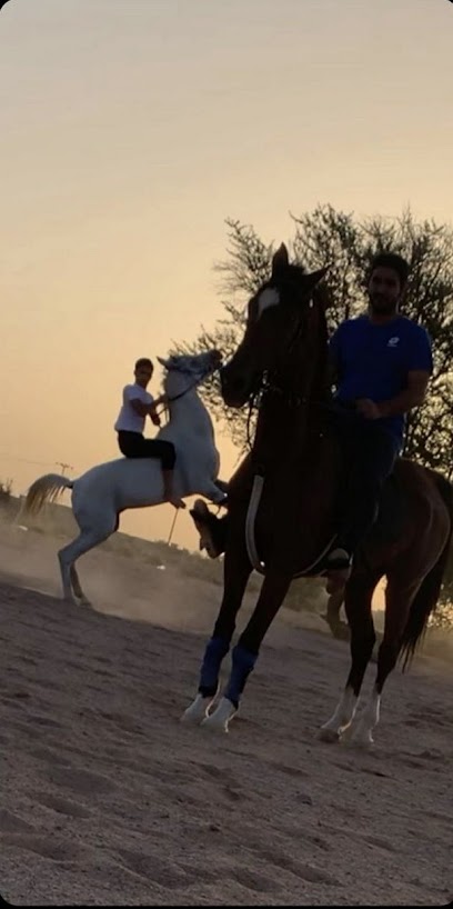مربط الاديرع للخيول - Saudi Arabia|Hail 55211|Unnamed Road 55236،