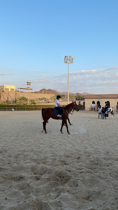 City Horse Stable - Saudi Arabia|Jeddah 23747|طريق|Um Hableen