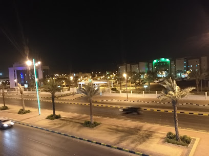 الصفوة للشقق والغرف المفروشة - Sakaka -