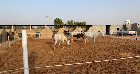 مربط السلطان - Ar Rass - +966 55 469 4473