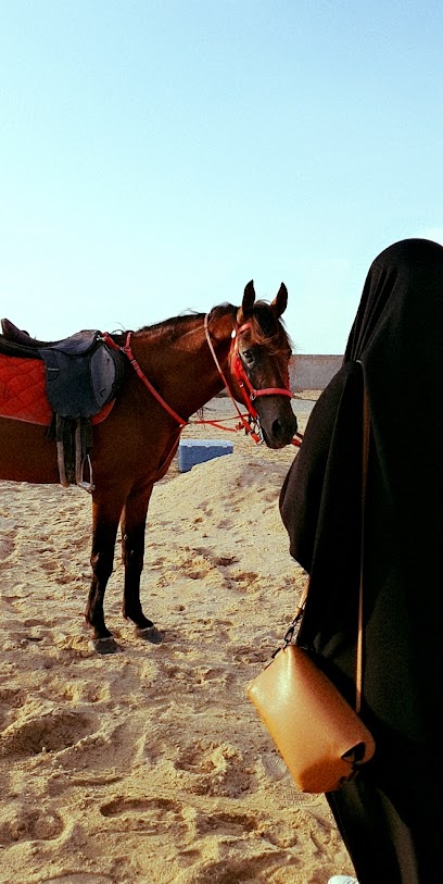 Sunset Stable - Saudi Arabia|Jeddah 23868|مخطط جوهرة العروس ذهبان