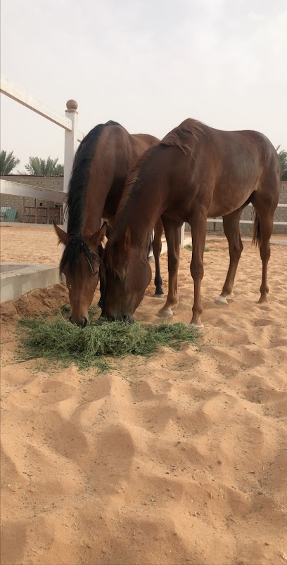 أسطبل القصواء للخيل - Saudi Arabia|الرياض 16255|طريق الخرج