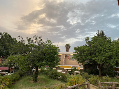 Thuraya Al Hada Resort - Taif - +966 53 168 7748