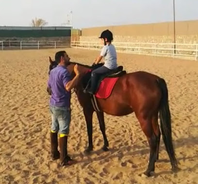 نزلة سمان جدة -  - +966 53 637 8834