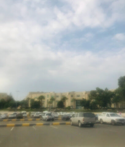 شقق عزاب مفروشه بيشة - Bisha - +966 53 765 4129