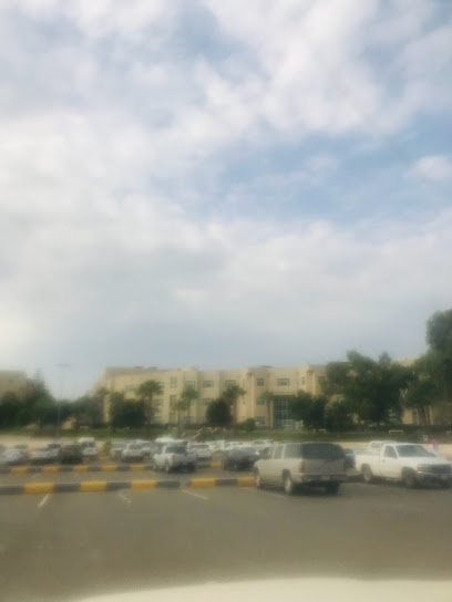 شقق عزاب مفروشه بيشة - Saudi Arabia|Bisha 67713|Unnamed Road
