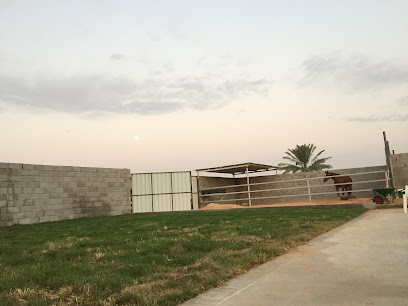 اسطبل الشوشان ( خاص ) - Unayzah - +966 0000000