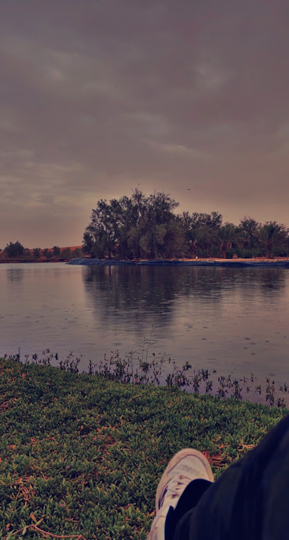 مربط ع ج العز ALAZ Stable - Saudi Arabia|Buraydah 52230|QHGC6544، 6544 بريده 1885، 3729