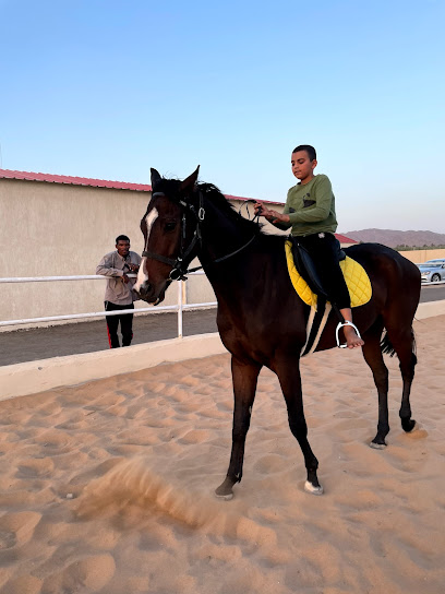 مربط الأمواج للخيل والفروسية - Saudi Arabia|Al Madinah Al Munawwarah 42336|الزهرة - خلف الجرف