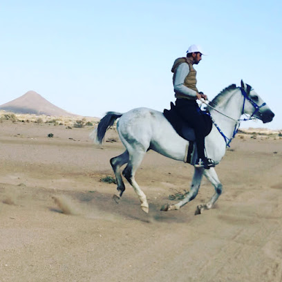 نادي صهوة للفروسية - Ahad Rafidah - +966 50 299 6692