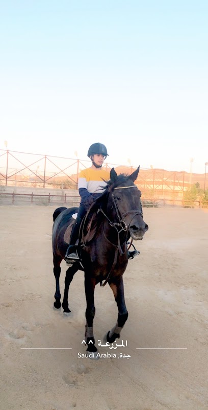 اسطبل سما الخيل للفروسية sky hores Stable For Equestrian - Saudi Arabia|Jeddah|شارع قريه|مرسال