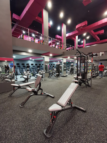 LION GYM LADIES - Saudi Arabia|Al Qatif 32467|Ar Rayah|ZAIN AL ABDEEN ST
