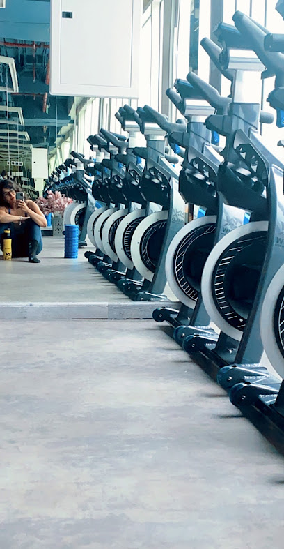 WILD Gym Studio - Saudi Arabia|Riyadh 13325|Alyasmin|King Abdulaziz Rd