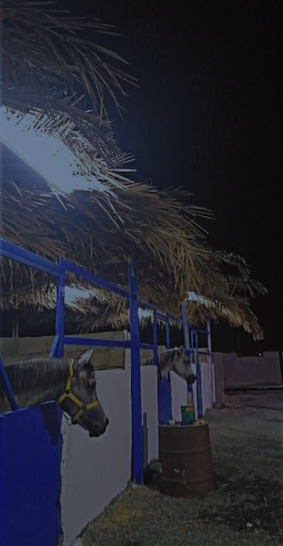 مربط عز المغيرات - Saudi Arabia|Jeddah 22852،|2243 الامير متعب عبدالله عبدالعزيز، 7172، حي صناعي،
