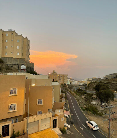 Ferbion Hotel - Abha - +966 17 229 0401