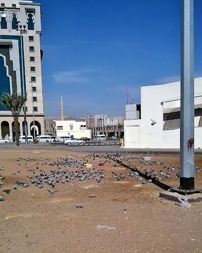 Badr Al Madinah Hotel - Al Madinah Al Munawwarah 42311