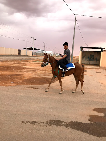 أسطبل أحمد العبدالمنعم - Saudi Arabia|15982|Unnamed Road
