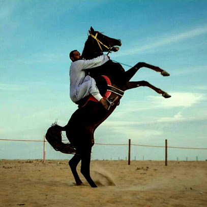 مربط صهوة جواد لايواء الخيل - Al Jubail - +966 55 222 2974